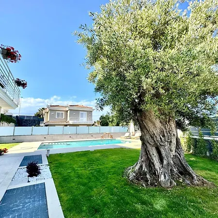 Scialai Bougainvilla Villa *